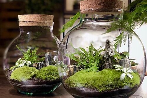 Glas